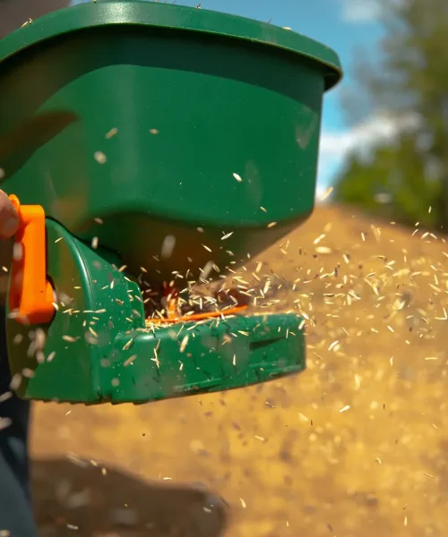 Turfworld_Grass-Seed_Grass-Seed-Application