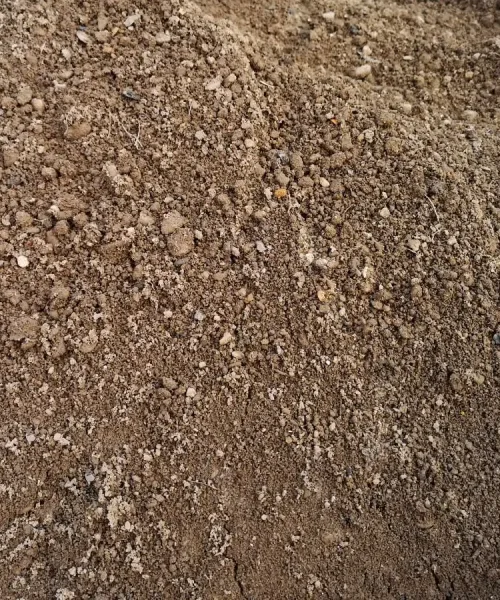 soil-tw-web-1-e1757922704259-1